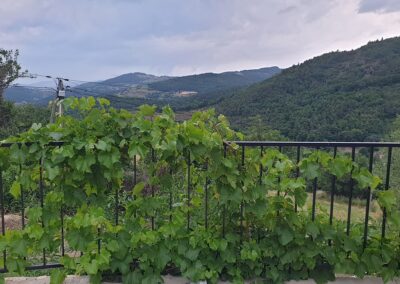 Un p'tit coin d'Ardèche, gîte écologique pour 4 personnes : la terrasse