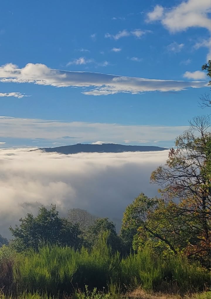 #paysages 

1ère mer de nuages de l'automne 🙂

#nature #ciel #merdenuages #ardeche #ardecheverte #arlebosc #naturephotography